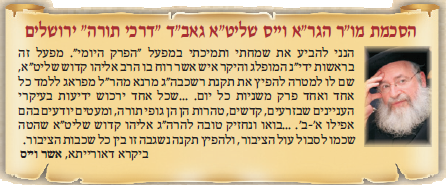 הרב מאיר וייס שליט"א